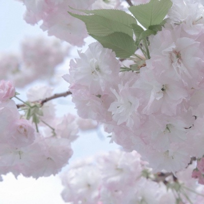 兽设线稿临摹素材福瑞群